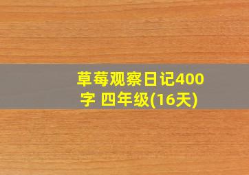 草莓观察日记400字 四年级(16天)